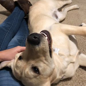 Meet your Posher, Amanda